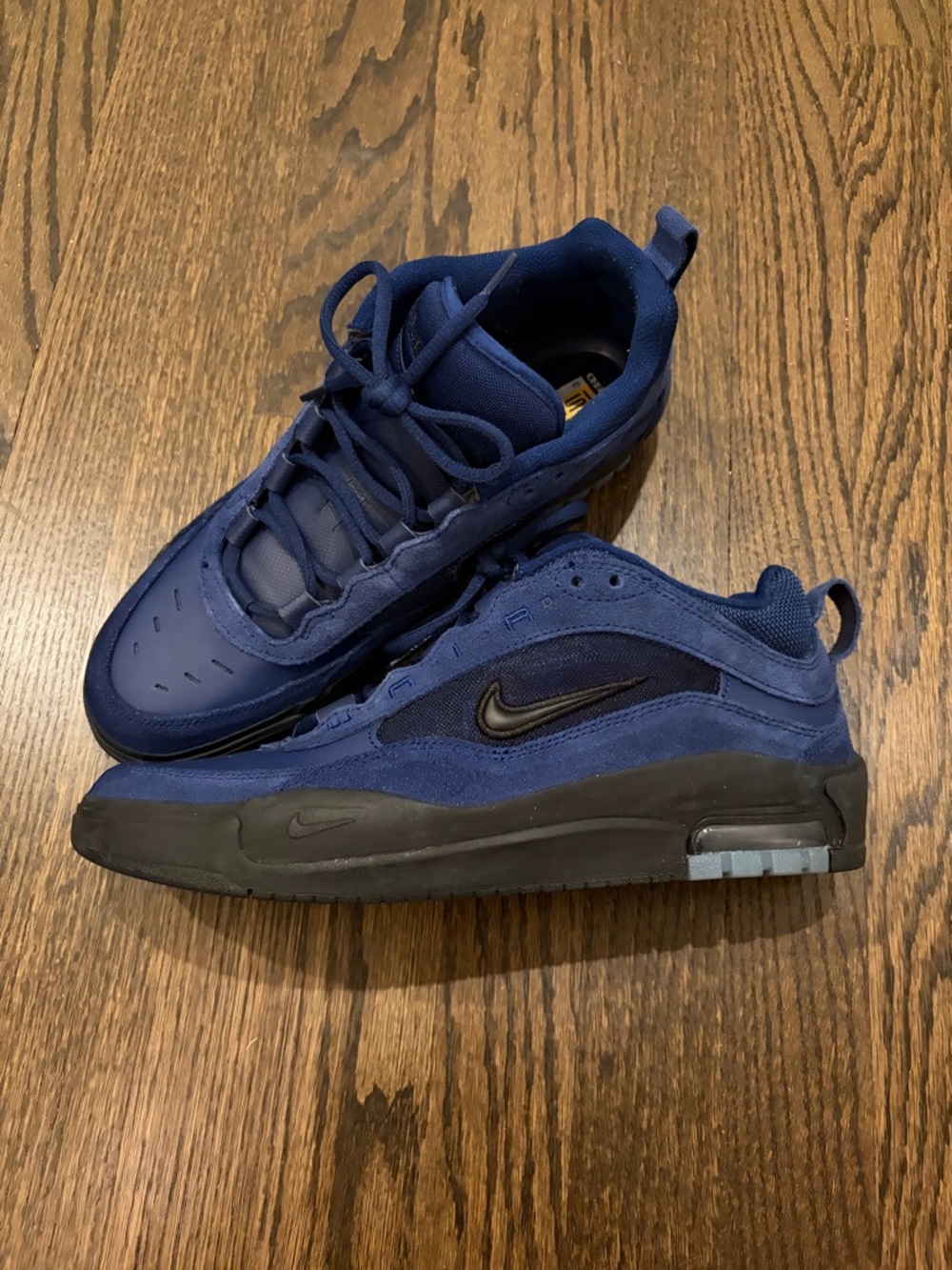 Nike Air Ishod skate shoe sz10 blue